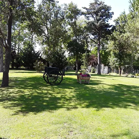La Louisiane 31 *