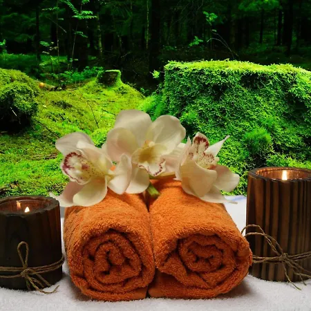 La Louisiane 31 * Villefranche-de-Lauragais