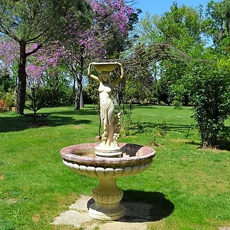 La Louisiane 31